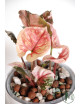 Syngonium strawberry ice galaxy