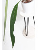 Anthurium coriaceum velvety
