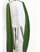 Anthurium pallidiflorum -